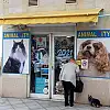 Animal City