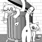 Chats Libres de Beziers