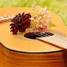Academie de Guitare