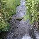 Pisciculture du Torpt