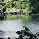 Parc Animalier St Martin
