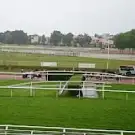 Hippodrome du Petit Port