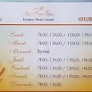 Froissart Céline