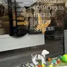 Cani Coiff
