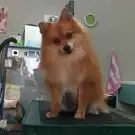 Plouf Patapouf