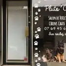 Pluto Chic