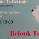 Relook Toutou