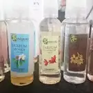 O Poils Démêlés