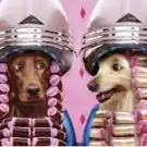 Dog Saloon
