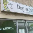 Dog Esthétic
