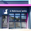 Toilettage A Rebrousse Poils