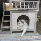 La Clochette Toilettage