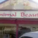 AnimaL Beauté