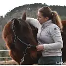 Maureen Langouët Ostéopathe Animalier