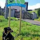 L'Arche de Joy