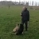 Can'Idéal