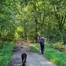Avec mon chien