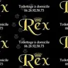 Rex Toilettage