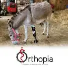 Orthopia Prothèses