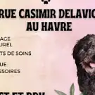 Hippie Dog Toilettage au Naturel