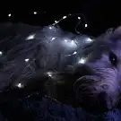 Dog&Cat Elégance