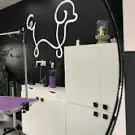 Toilettage Canin le Salon de Jump