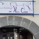 Un Hair Canin