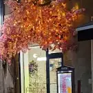 Chambre Cinquante Sept