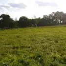 Rugby Club Saint Lois