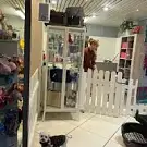 Magichiens
