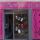 L'arène des Chiens