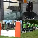 Akantacoupe