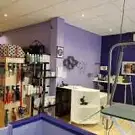 Espace Canin