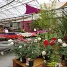 Jardins et Paysages