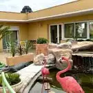 Résidence les Jardins de Flore