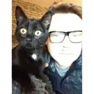 Entre Chiens et Chats