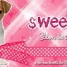 Sweet Dog