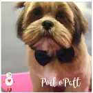 Poil O Patt