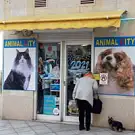 Animal City