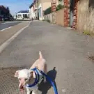 Boulet Annie