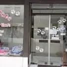 A Dog Is Star