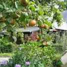 Auberge du Val au Cesne