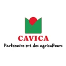 Cavica