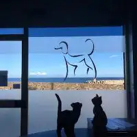 Société Vétérinaire Cas'Animalia