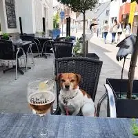 Bistrot de la Baie