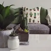 Lucciana Immobilier