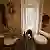 Maeva Toilettage A Domicile