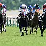Hippodrome