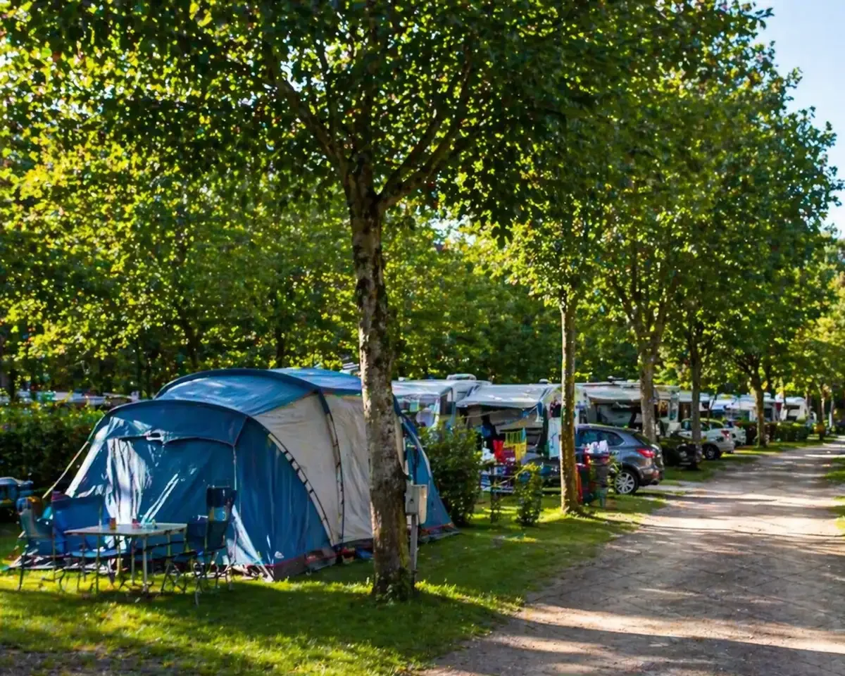 faltbare hängematte lidl Livarno mit Gestell, 290 x 120 x 110, inkl. Aufbewahrungstasche (grün-gestreift) Garten Porträt eines Arztes, therapeutischen electric foldable bike Size:29x2.5